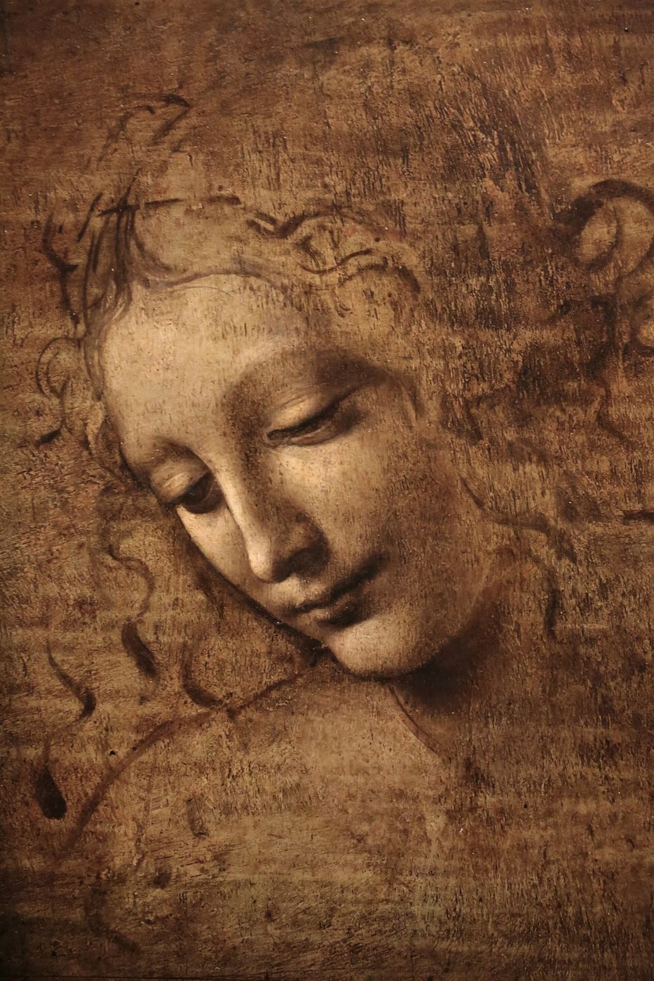 Leonardo da Vinci — a head, unfinished, becoming